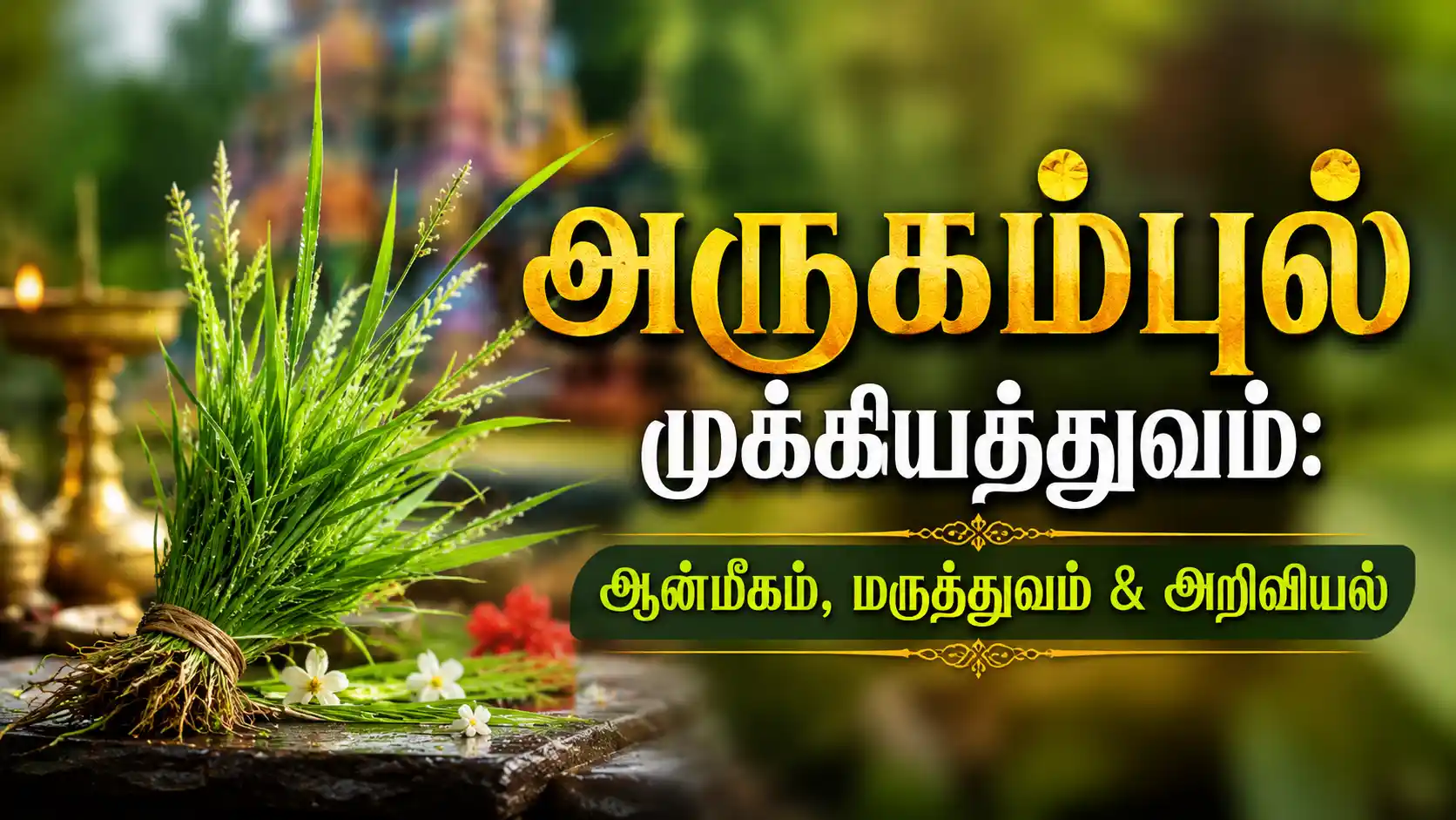 பசுமையான தரைப்பகுதியில் வளர்ந்துள்ள அருகம்புல்லின் நெருங்கிய தோற்றம்