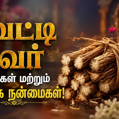 ஆன்மீக பூஜைக்கு பயன்படுத்தப்படும் இயற்கை வெட்டி வேர்