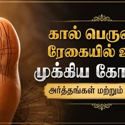 கால் பெருவிரல் ரேகை மற்றும் அங்க சாஸ்திர முக்கிய கோடுகள்