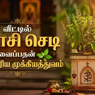 வீட்டில் துளசி மாடத்தில் வளர்க்கப்படும் துளசி செடி
